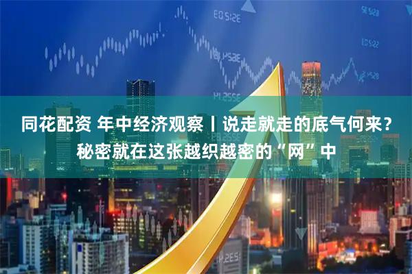 同花配资 年中经济观察丨说走就走的底气何来？秘密就在这张越织越密的“网”中