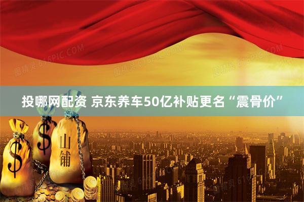 投哪网配资 京东养车50亿补贴更名“震骨价”