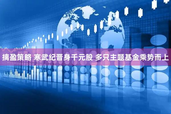 摛盈策略 寒武纪晋身千元股 多只主题基金乘势而上