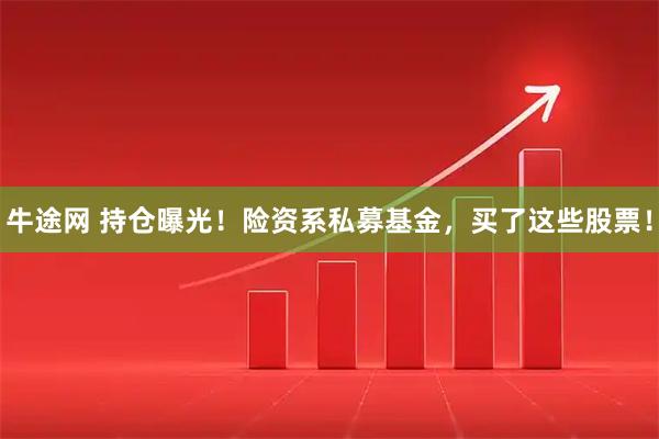 牛途网 持仓曝光！险资系私募基金，买了这些股票！