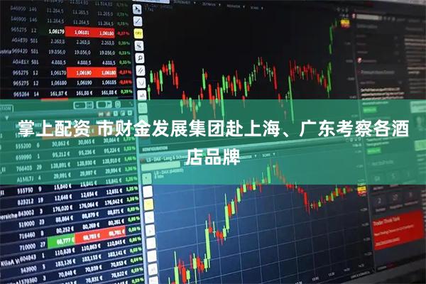 掌上配资 市财金发展集团赴上海、广东考察各酒店品牌